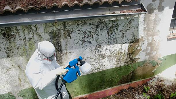 Top rated local Mold Remediation specialists in Bentonville, VA